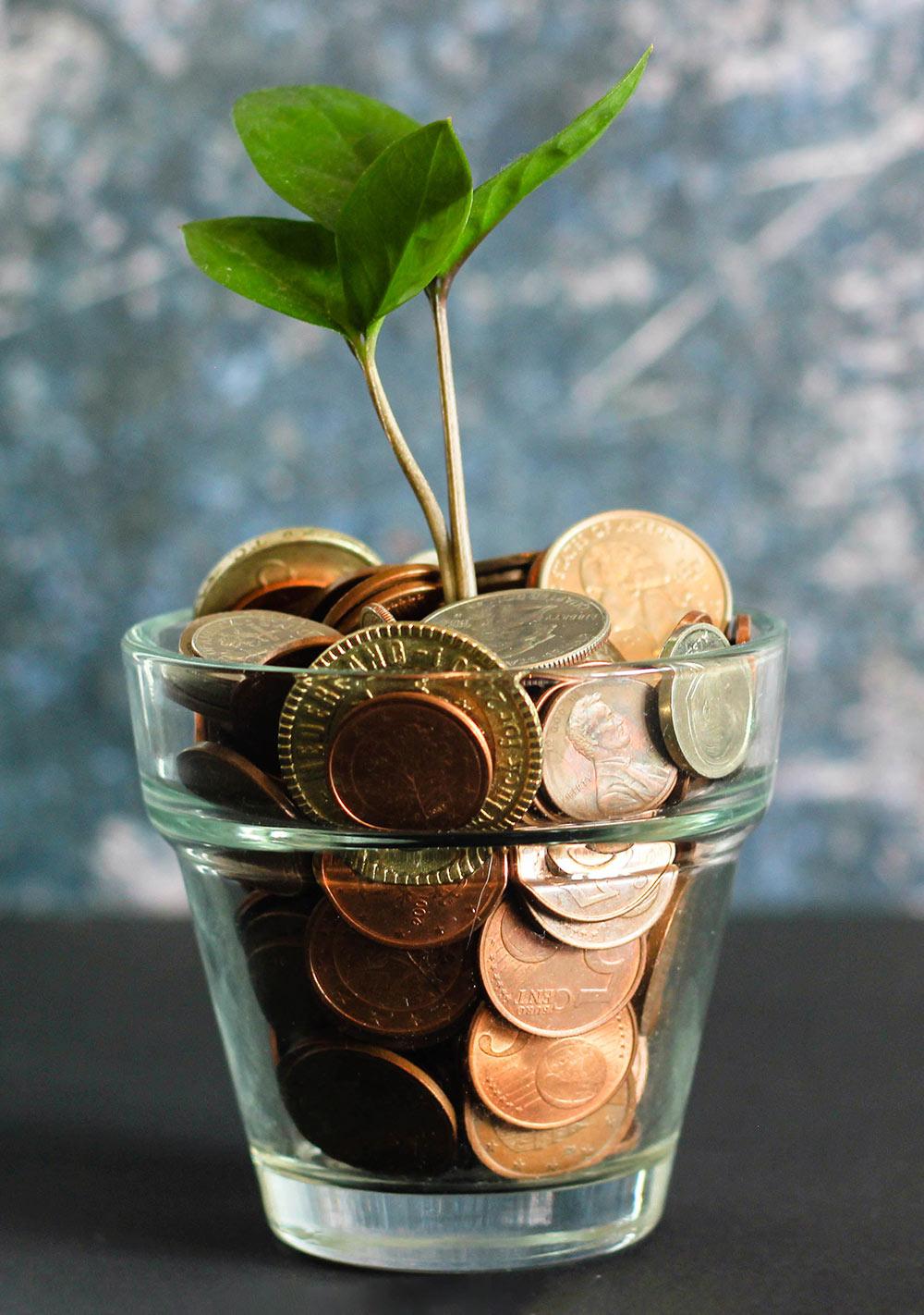 Financing is available for all deck projects!